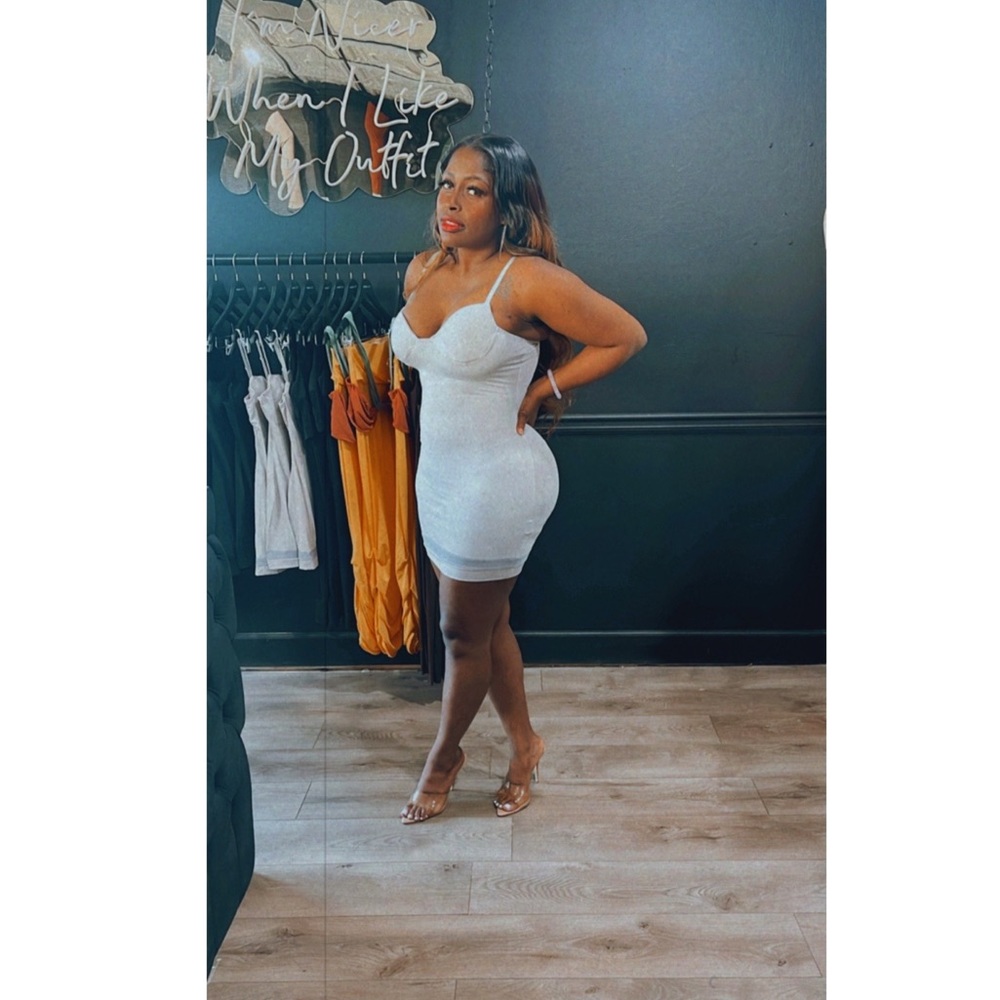 Mesh Bodycon Dress